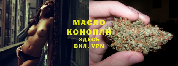 сатива Алзамай