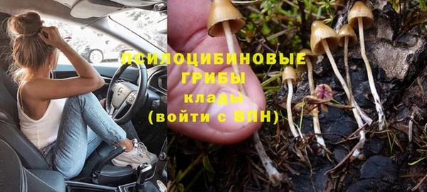 сатива Алзамай