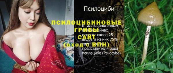 крисы Алексеевка