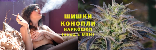 сатива Алзамай