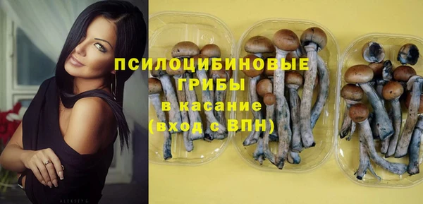 крисы Алексеевка